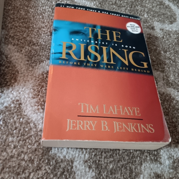 Other - Individual book in the left behind series